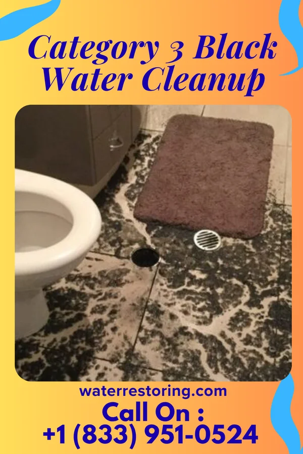 Category 3 Black Water Cleanup in Howard Lake, MN