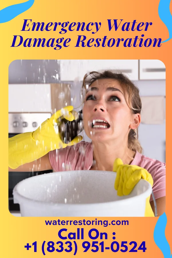 Emergency Water Damage Restoration in Howard Lake, MN