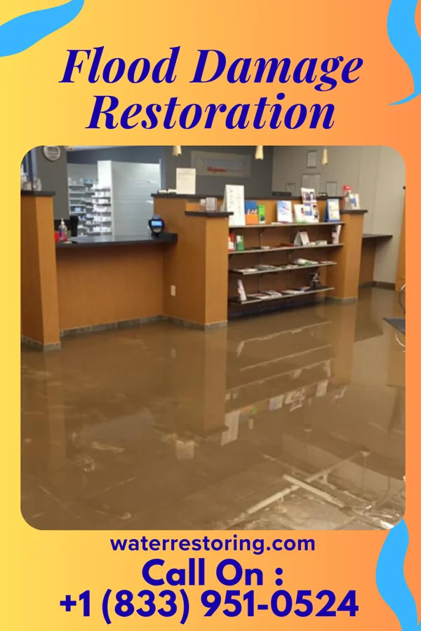Flood Damage Restoration in Howard Lake, MN