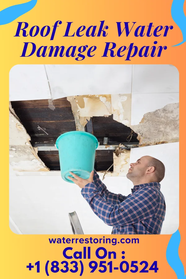 Roof Leak Water Damage Repair in Howard Lake, MN